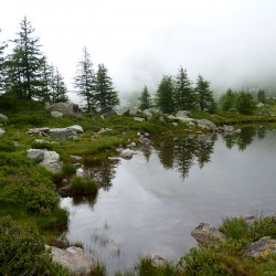 Piemont August 2014