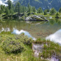 Piemont August 2014