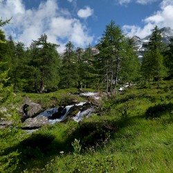 Piemont August 2014