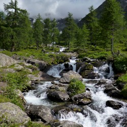 Piemont August 2014