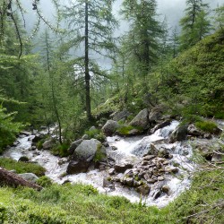 Piemont August 2014