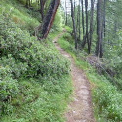 Piemont August 2014