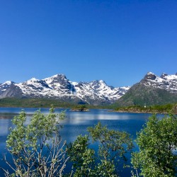 Lofoten Juni 2017