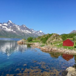 Lofoten Juni 2017