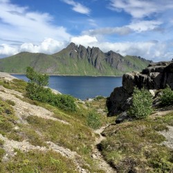 Lofoten Juni 2017